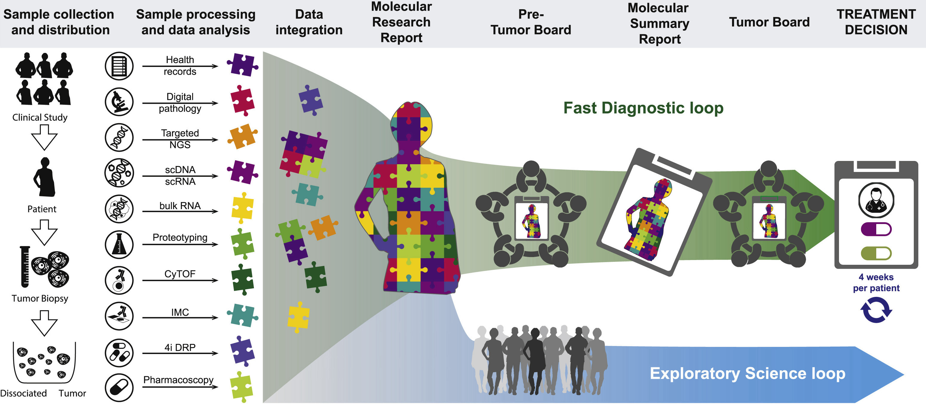 Summary Figure